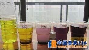 烈酒甜味背后 如何科學判斷脫霉劑處理霉菌毒素的能力？