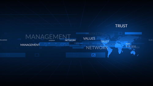 不符合重點軟件企業標準，網絡技術服務企業稅收優惠力度下降的挑戰與應對